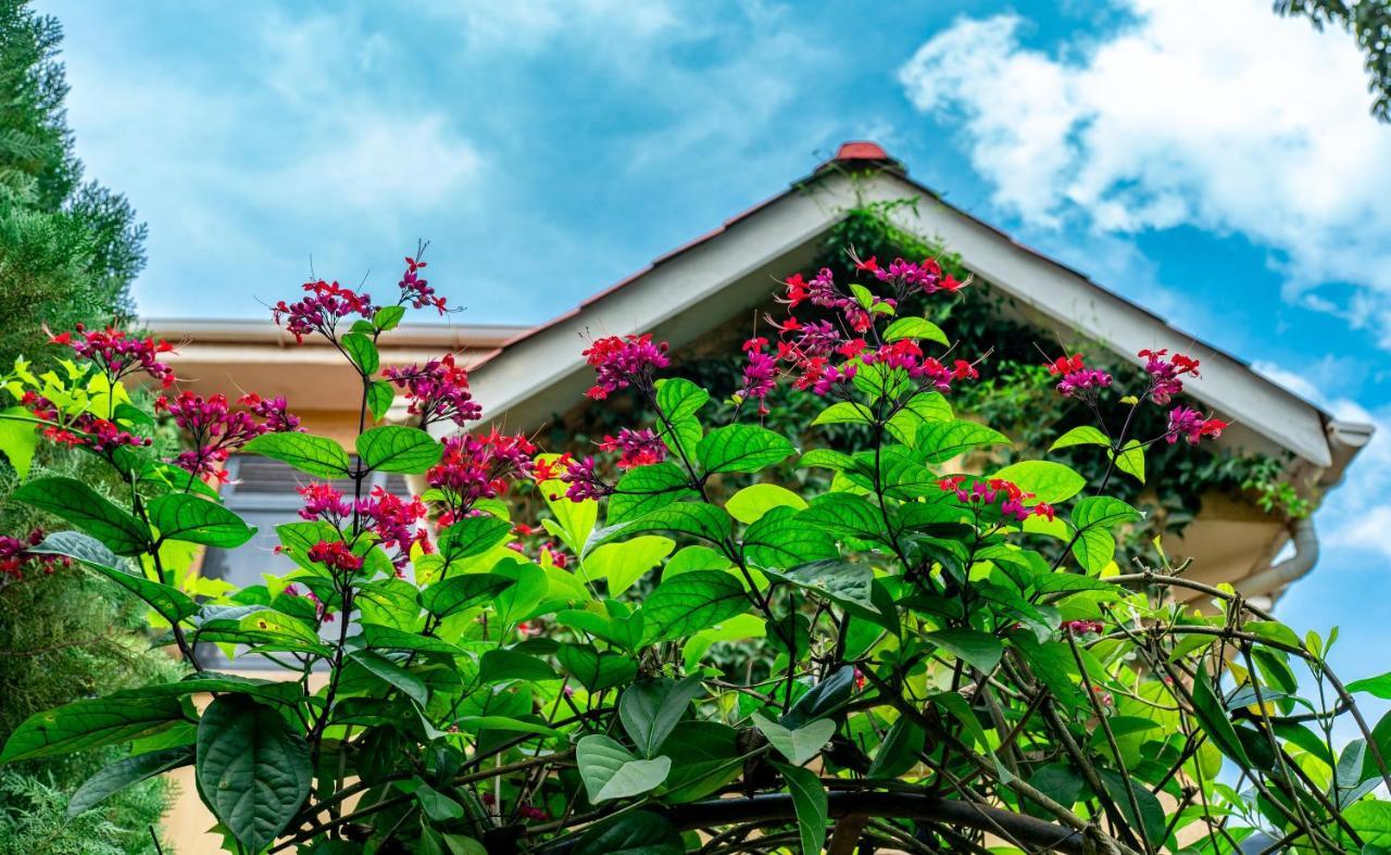Karibu Serviced Apartments-kampala *